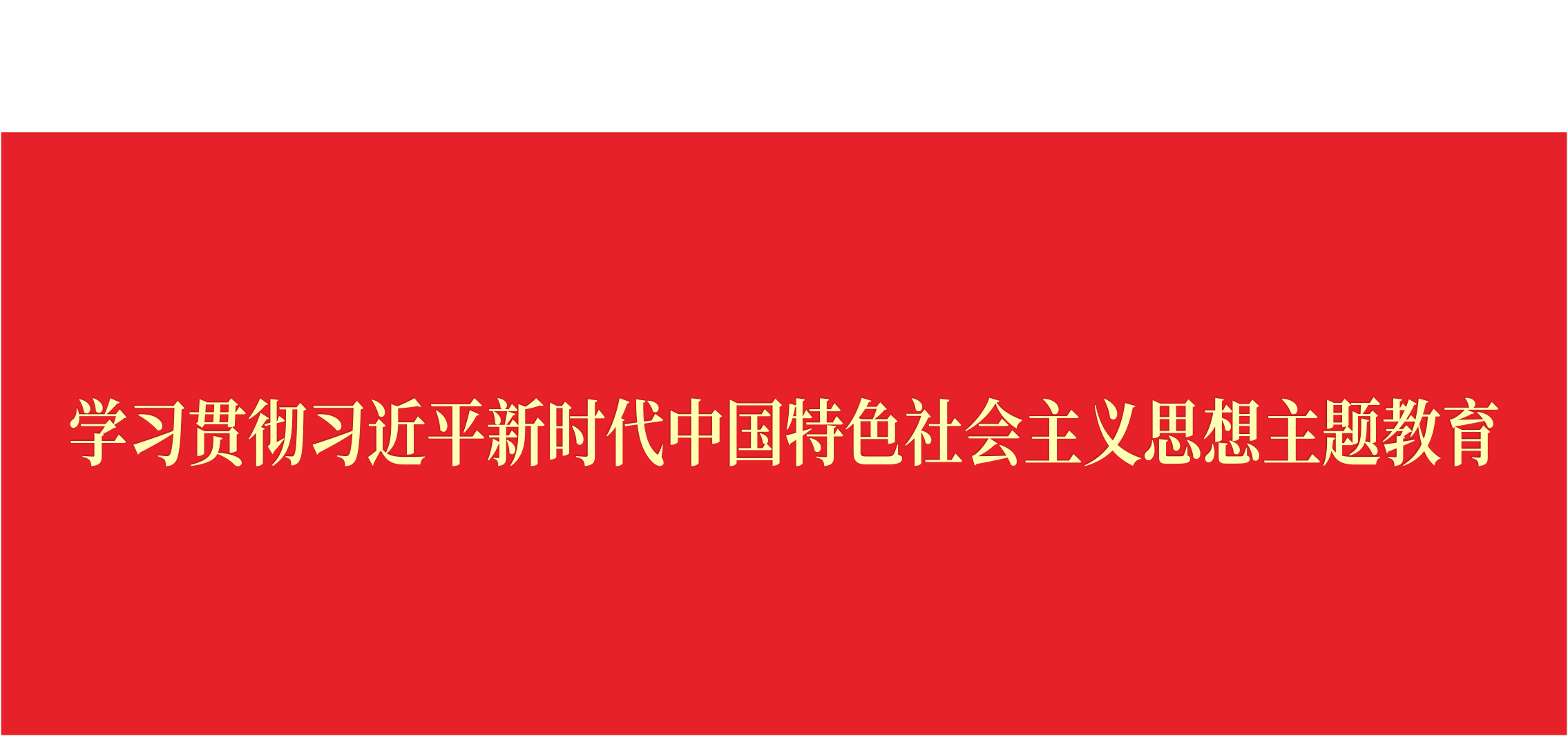 学习贯彻习近平新时代中国特色社会主义思想主题教育